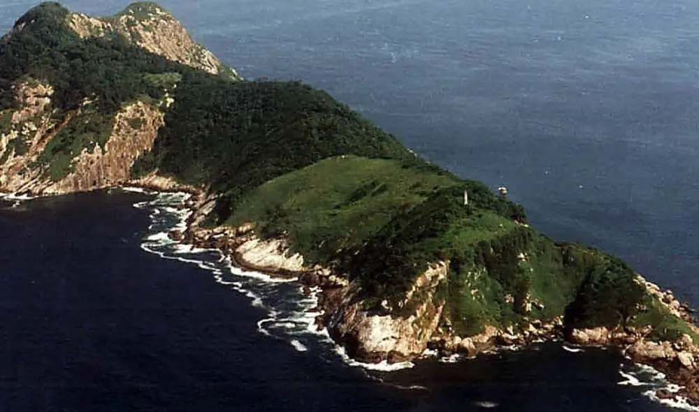 Isla de las Cobras es considerada una de las más peligrosas del mundo. Foto: CNN Isla de las Cobras es considerada una de las más peligrosas del mundo. Foto: CNN