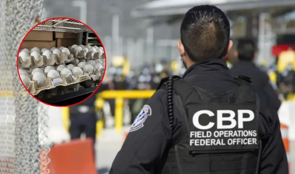 Las autoridades fronterizas en Estados Unidos refuerzan los controles agrícolas tras detectar riesgos de brotes de enfermedades como la gripe aviar.