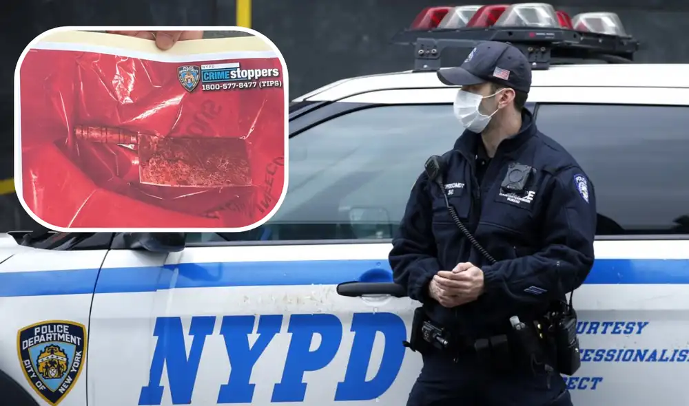 Las víctimas, de 8 a 16 años, fueron halladas con heridas graves en un apartamento. Una niña de 11 años realizó la llamada al 911 que permitió ubicar la emergencia. Foto: Composición LR/Newsweek/Fox New York