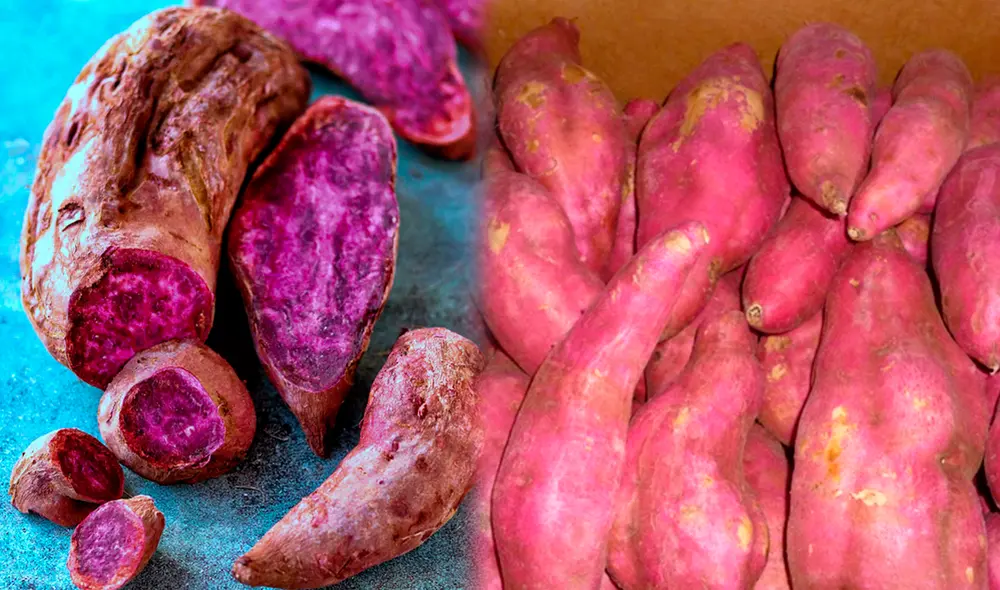 Incorporar este alimento a la dieta es clave para prevenir picos de glucosa, pues su bajo índice glucémico y alto contenido de fibra favorecen una mejor digestión. Foto: Composición LR/Pola Cocina/Fundación UNAM