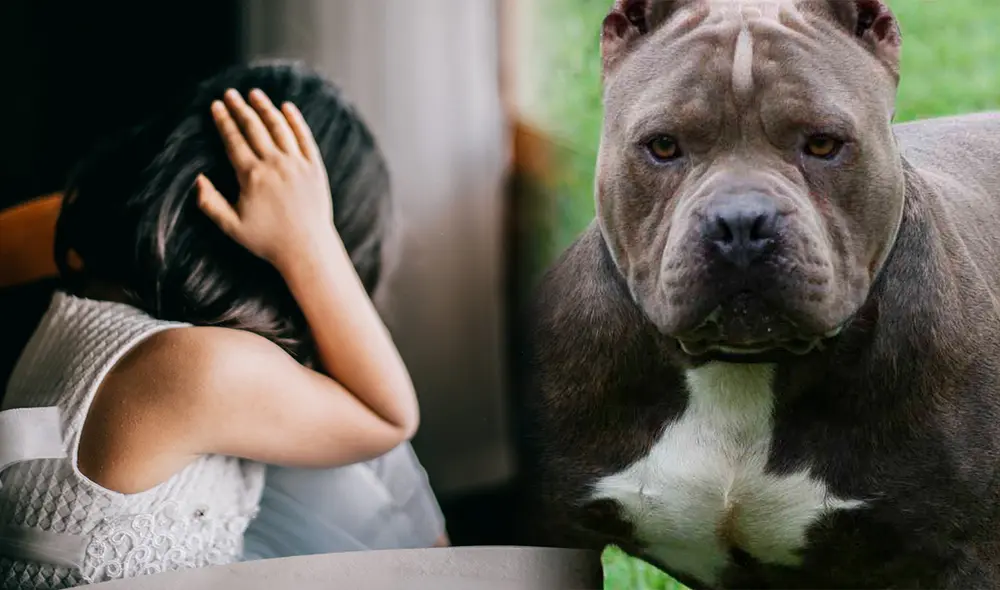 a niña perdió casi por completo ambas orejas y sufrió desgarros en la nariz y otras partes del cuerpo. Foto: composición LR