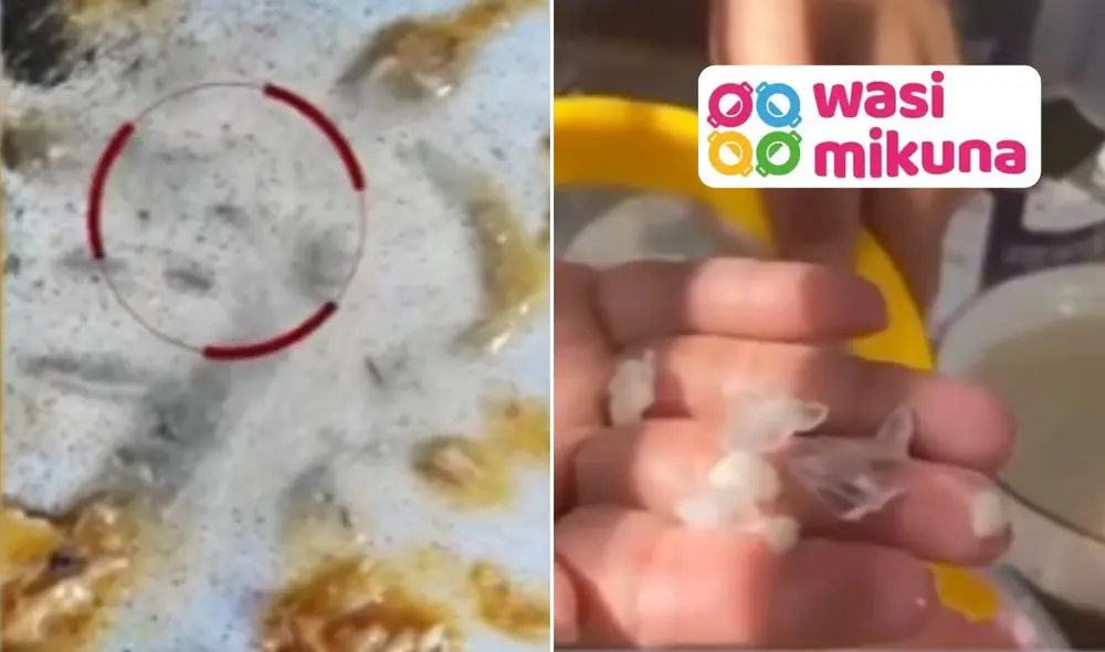 Larvas y gorgojos en alimentos del programa Wasi Mikuna generan preocupación. Foto: composición LR/Canal N