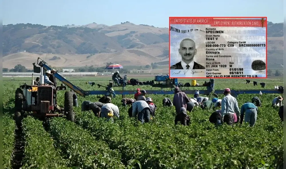 Con el inicio de la temporada agrícola en Estados Unidos, miles de inmigrantes podrán acceder a la visa H-2A para conseguir empleo. Foto: Composición LR/Enlace Latino/Visa Help
