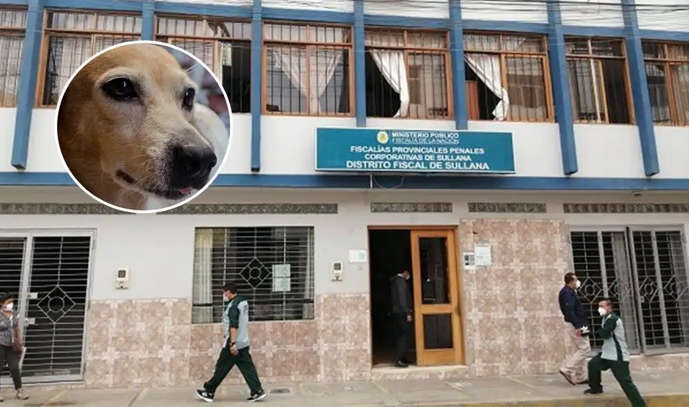 Agresión sucedió en mayo de 2023. Créditos: Composición LR.