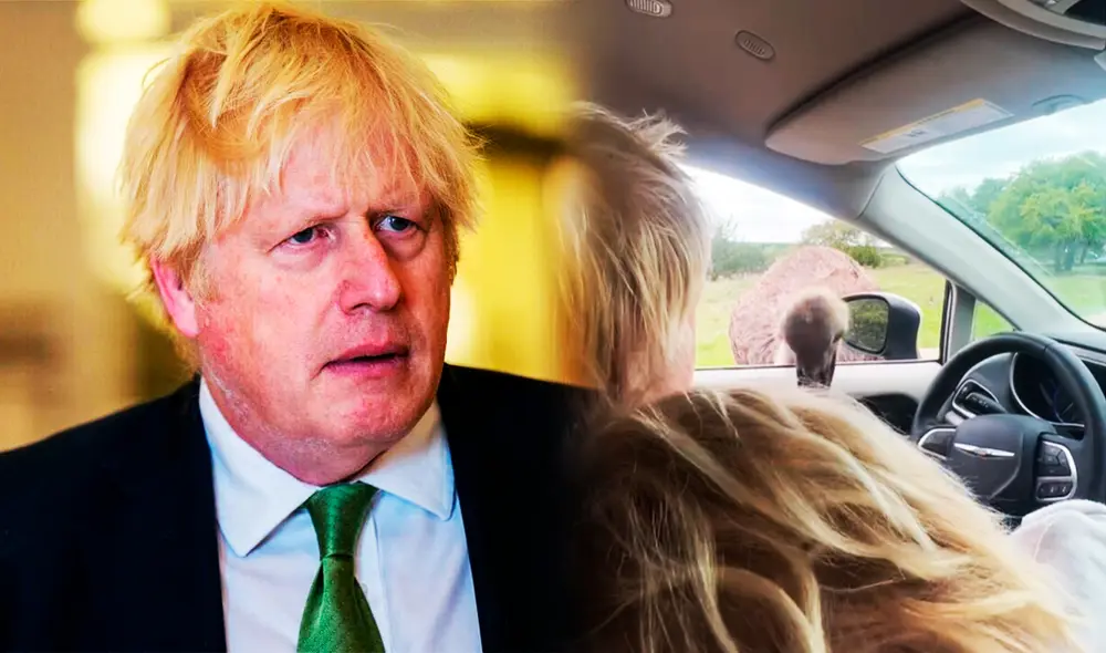 El ataque del avestruz a Johnson ocurrió en un parque natural en Texas, Estados Unidos, durante un safari familiar. Foto: composición LR El ataque del avestruz a Johnson ocurrió en un parque natural en Texas, Estados Unidos, durante un safari familiar. Foto: composición LR