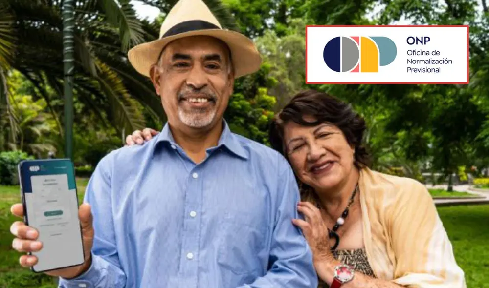 Peruanos pueden acceder a un portal ONP especializado para la consulta de sus aportes. Foto: Andina/LR