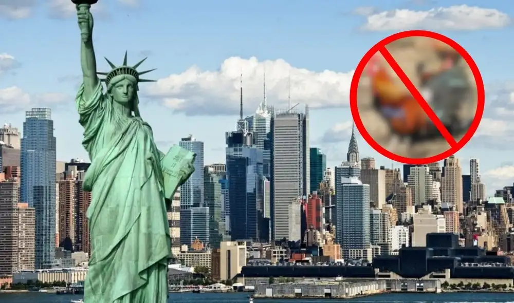 En Nueva York, la tenencia de gallos en zonas residenciales está prohibida debido a los riesgos para la salud pública y el impacto del ruido, con multas de hasta US$2.000 para quienes infrinjan la ley.