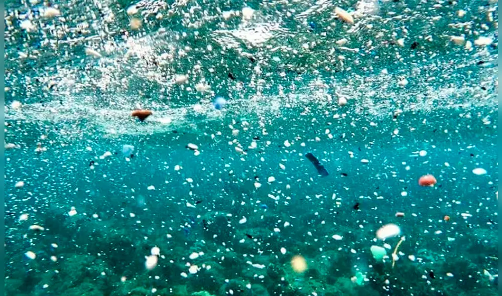 Más de 10 millones de toneladas métricas de residuos plásticos llegan a los océanos cada año, según el estudio. Foto: Ecoportal.