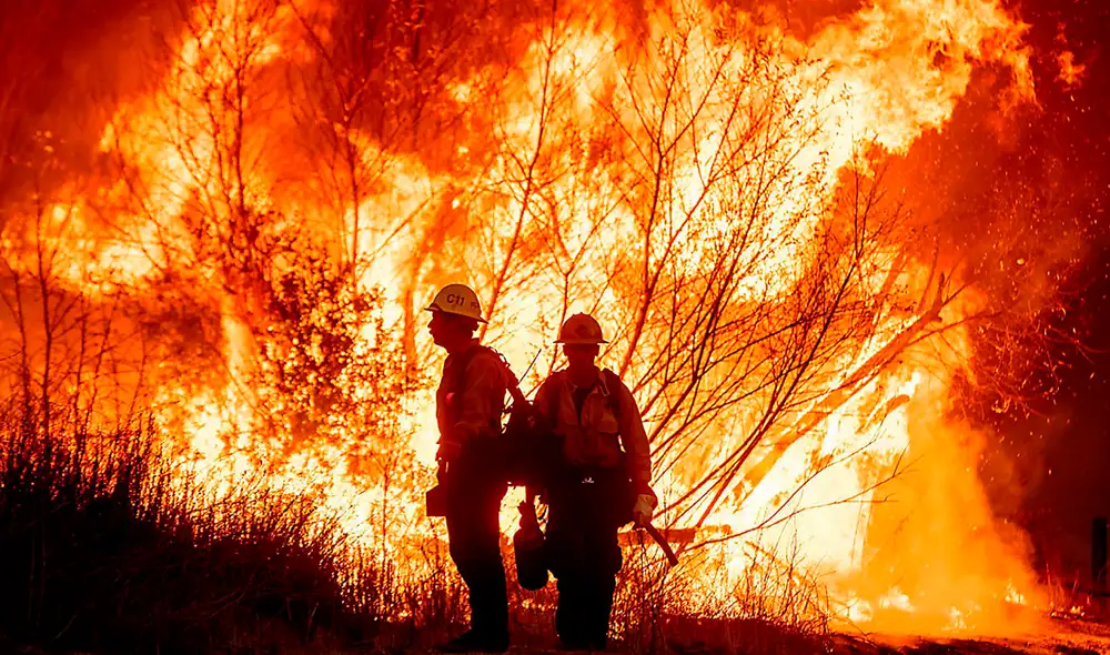 Durante esta temporada, se espera que Florida lidie con entre 1.500 y 2.000 incendios forestales adicionales. Foto: difusión