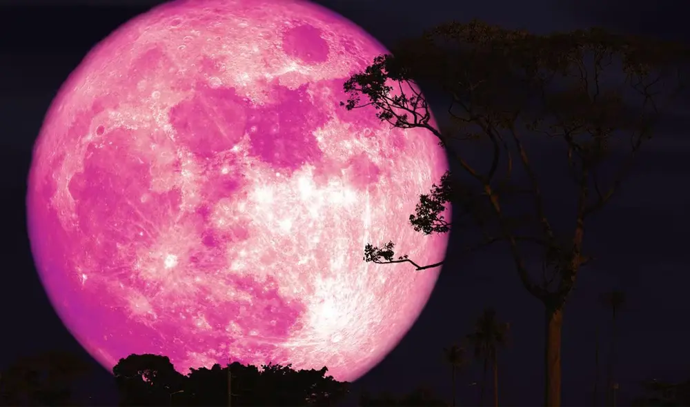 La Luna Rosa de 2025 será podrá ver en su punto máximo el 13 de abril. Foto: IStock La Luna Rosa de 2025 será podrá ver en su punto máximo el 13 de abril. Foto: IStock
