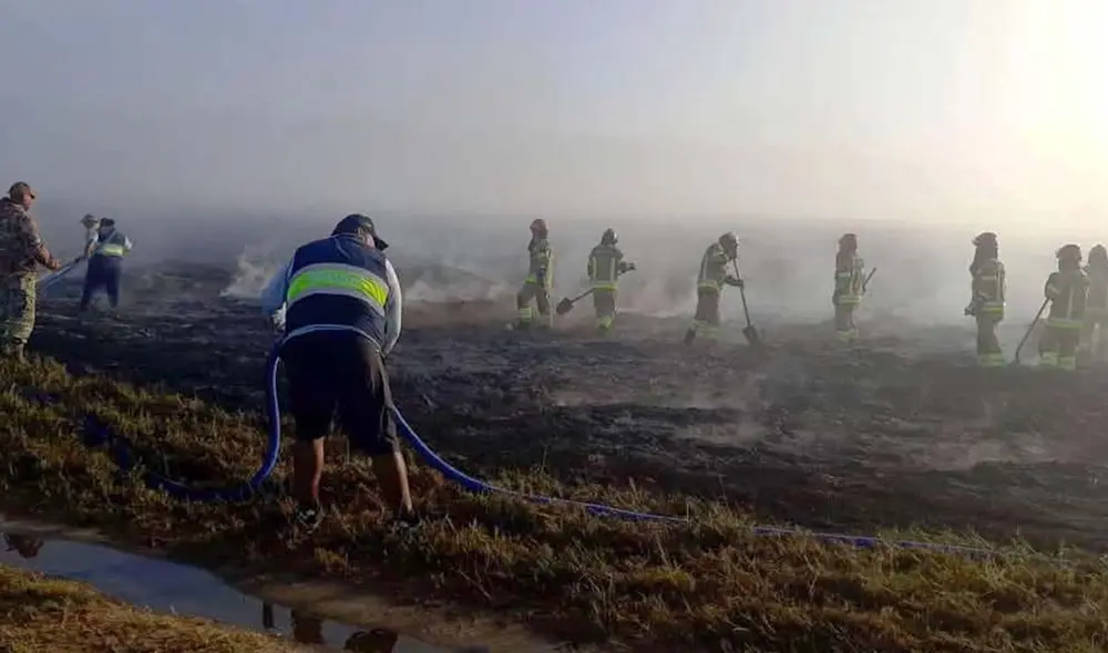 Santuario de Mejía alberga 202 especies de animales, algunos migratorios. Foto: Frase Corta. Santuario de Mejía alberga 202 especies de animales, algunos migratorios. Foto: Frase Corta.