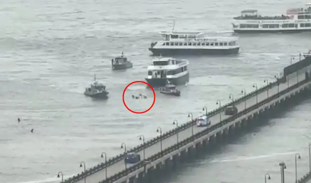 Un helicóptero se desploma en el río Hudson, provocando una respuesta inmediata de los equipos de emergencia y causando interrupciones en el tráfico de la zona.  Foto: composición LR/New York Post