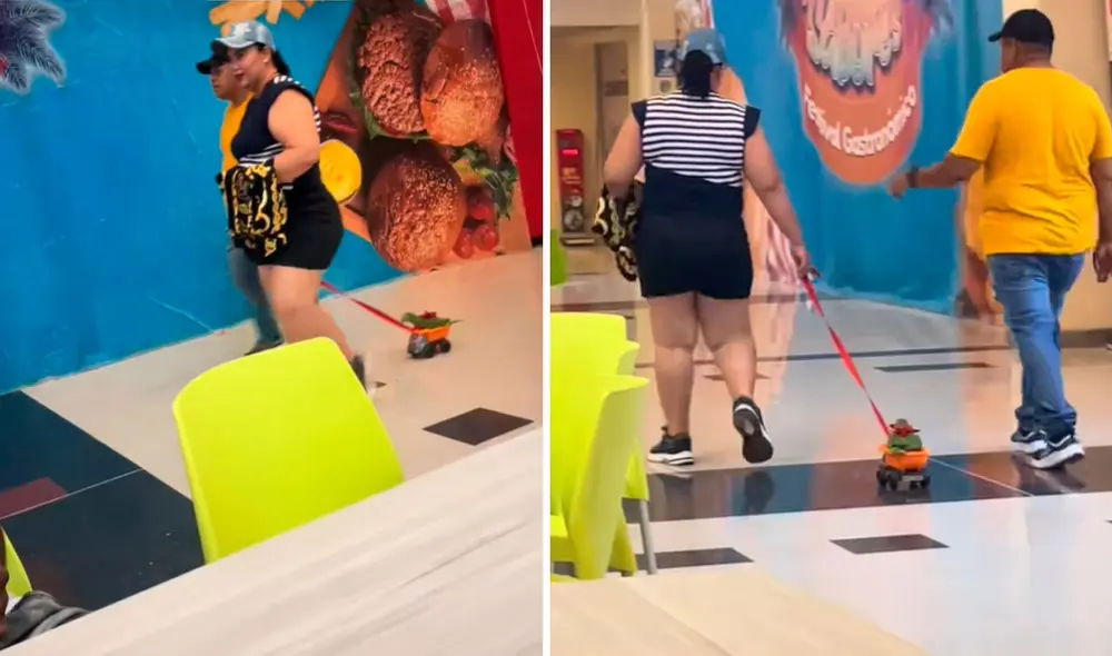 El lorito salió a pasear con sus humanos. Foto: captura de TikTok/@lorenm1