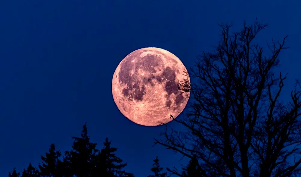 Descubre los países que podrán ver la Luna Rosa en abril 2025. Foto: Tiempo.com Descubre los países que podrán ver la Luna Rosa en abril 2025. Foto: Tiempo.com