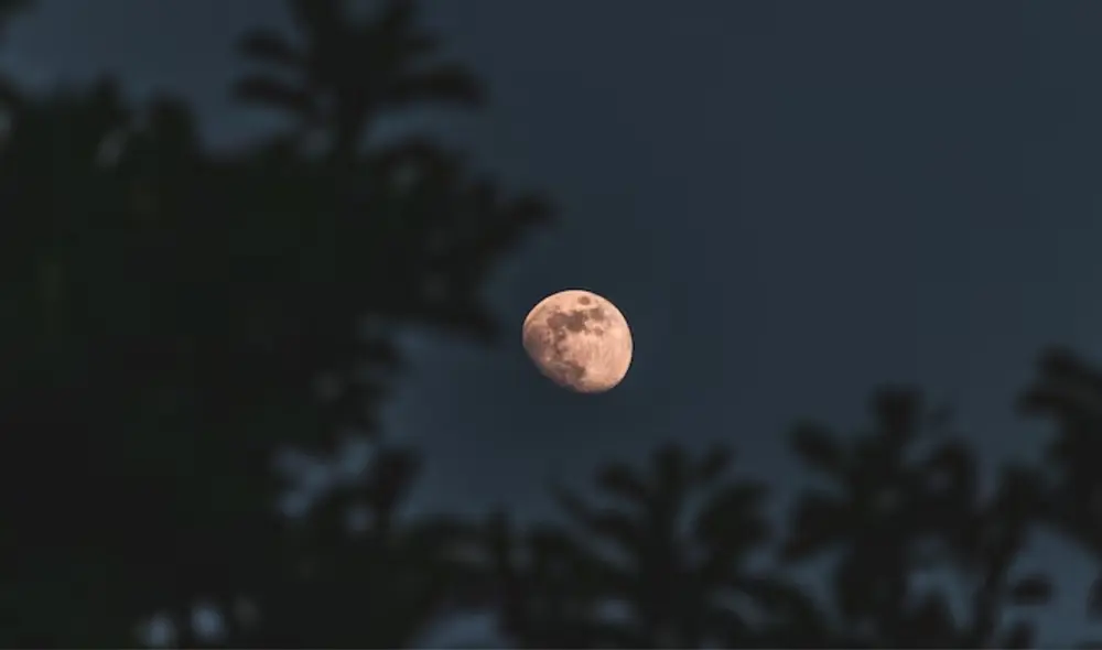 La Luna Rosa se verá en Nicaragua este sábado 12 de abril, con su punto máximo a las 5:00 p.m. ¡No te la pierdas! Foto: Freepik