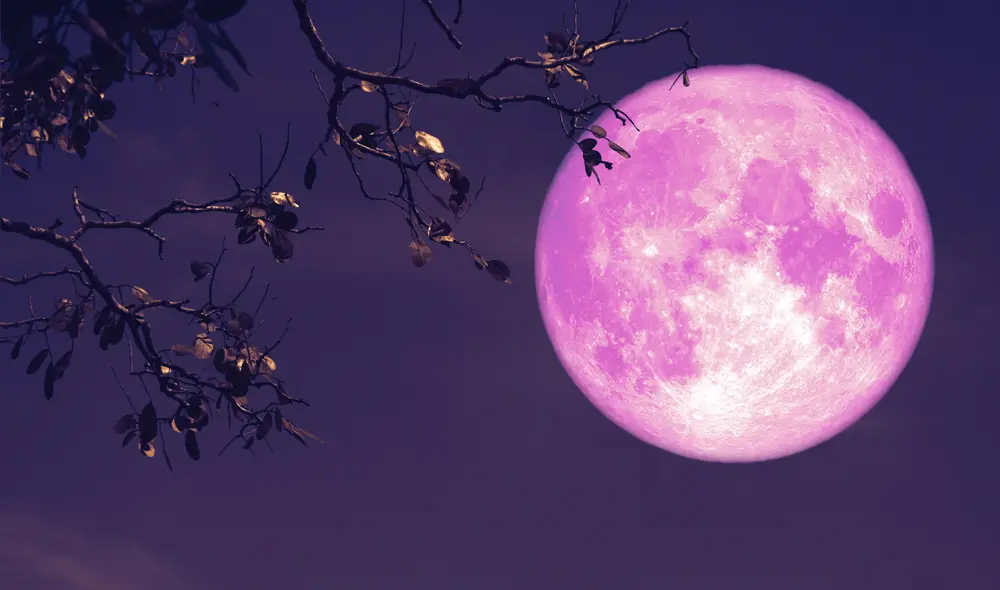 Para poder disfrutar de la Luna Rosa 2025 en México se recomienda permanecer en sitios son alejados del ruido. Foto: difusión