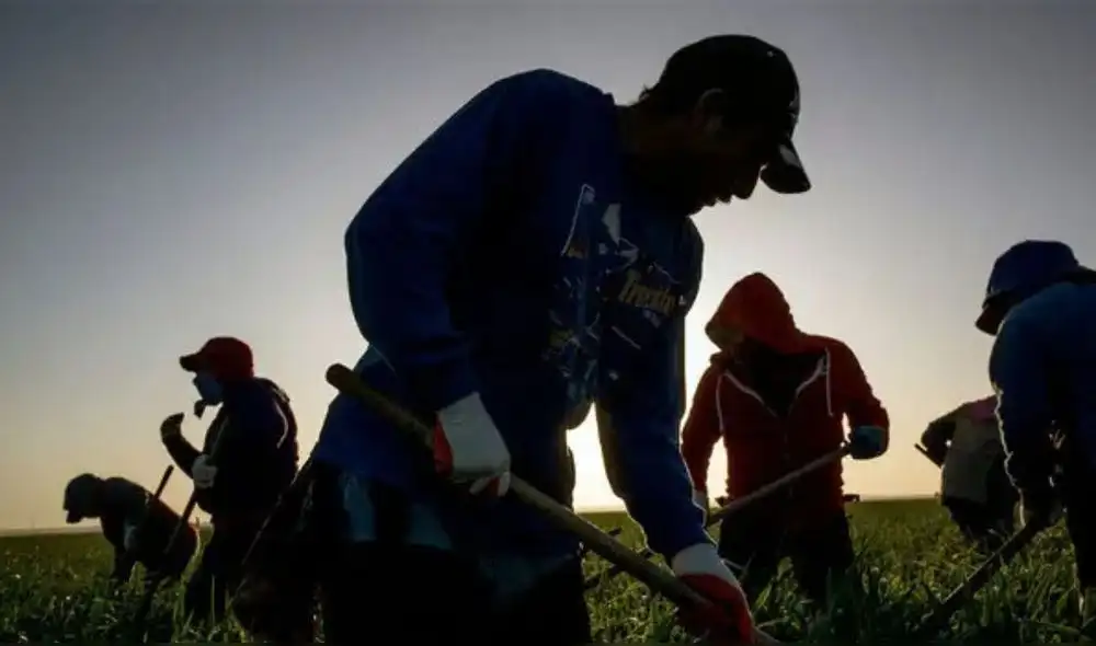 Inmigrantes mexicanos son respaldados por Sheinbaum frente a Estados Unidos. Foto: difusión. Inmigrantes mexicanos son respaldados por Sheinbaum frente a Estados Unidos. Foto: difusión.