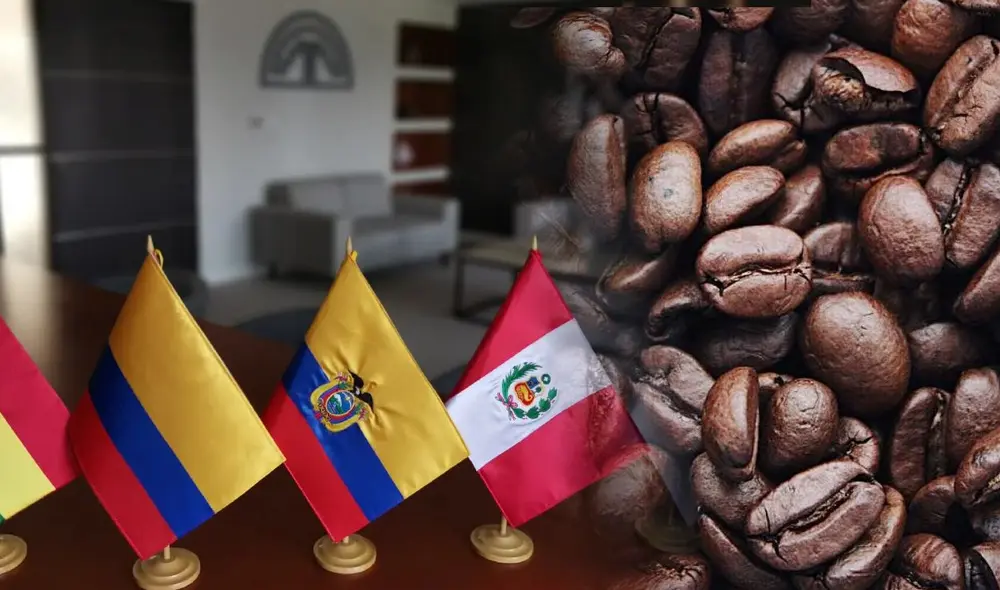 Dos países de Sudamérica exportan más café que Suiza a Estados Unidos. Composición: Lr/CNN Dos países de Sudamérica exportan más café que Suiza a Estados Unidos. Composición: Lr/CNN