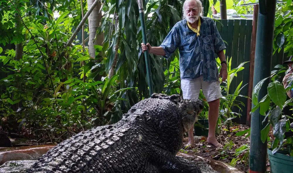 El cocodrilo más grande del mundo habitó en un zoológico en Australia. Foto: CNN El cocodrilo más grande del mundo habitó en un zoológico en Australia. Foto: CNN