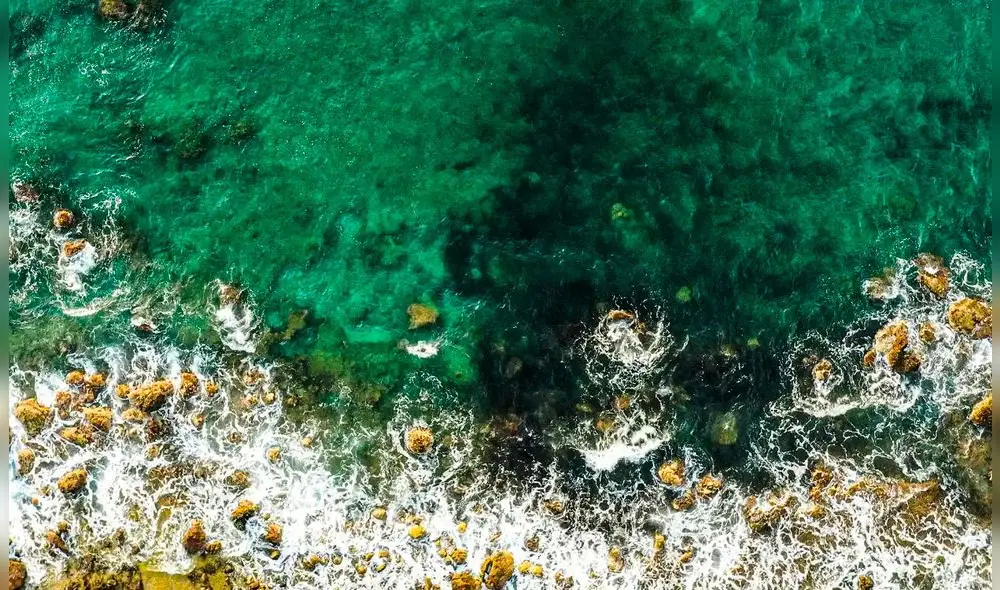 El aspecto que tuvieron los océanos de la Tierra en su pasado más antiguo estuvo estrechamente ligado a su composición química. Foto: Freepick El aspecto que tuvieron los océanos de la Tierra en su pasado más antiguo estuvo estrechamente ligado a su composición química. Foto: Freepick