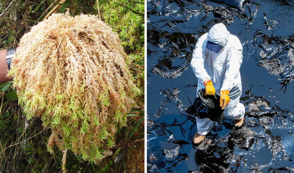 Un nuevo material biodegradable creado por la Universidad de Educación de Guizhou ofrece una alternativa sustentable para la limpieza de petróleo en el mar, gracias a su alta absorción y reutilización. Foto: composición LR/Inka Moss/IAEA