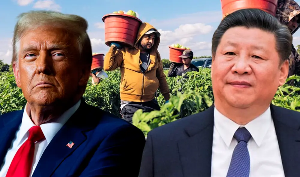 Según Trump, los productores agrícolas, pieza clave en la estrategia de negociación con China, han sufrido las consecuencias adoptadas por el gobierno asiático. Foto: Composición LR.