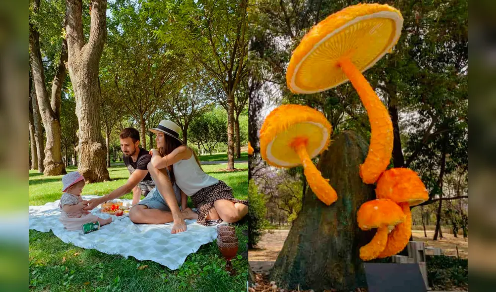 Chapultepec se llena de vida con propuestas culturales para todas las edades. Foto: Composición LR Chapultepec se llena de vida con propuestas culturales para todas las edades. Foto: Composición LR