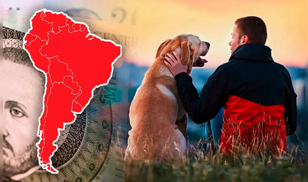 Además, la normativa de este país establece sanciones para quienes incumplan estas disposiciones. Foto: Composición LR/PNGTree. Además, la normativa de este país establece sanciones para quienes incumplan estas disposiciones. Foto: Composición LR/PNGTree.