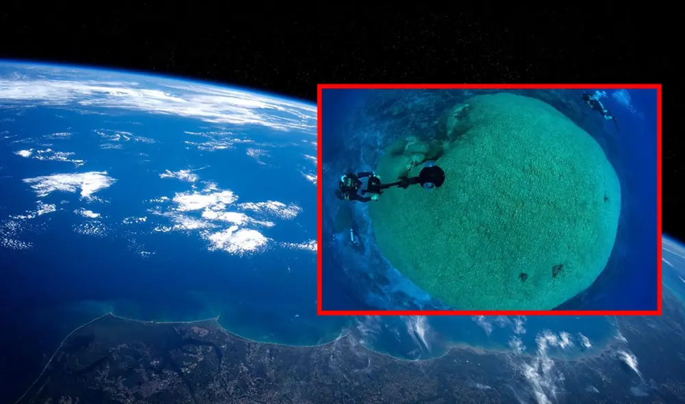 Este animal conocido popularmente como “Big Momma” alcanza una magnitud de 34 metros. Foto: composición LR/X