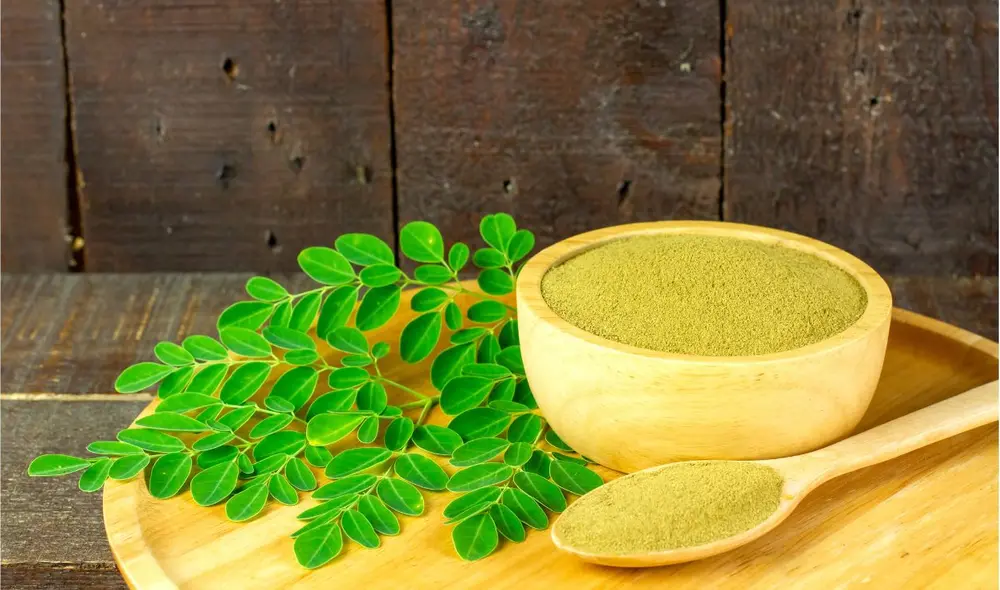 A pesar de sus beneficios variados, es importante conocer cómo integrar la moringa en tu rutina diaria para disfrutar de sus propiedades sin comprometer la salud.Foto: Pixabay.