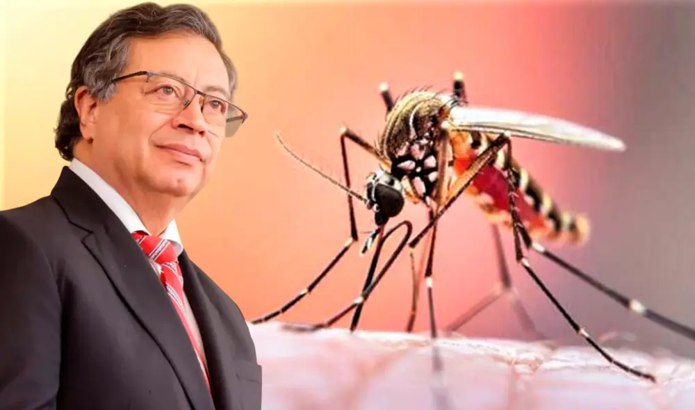 Hasta el momento en Colombia se han reportado 554 casos de fiebre amarillas, de los cuales 15 fueron en menores de 5 años y 67 en mayores de 65 años. Foto: Composición LR.