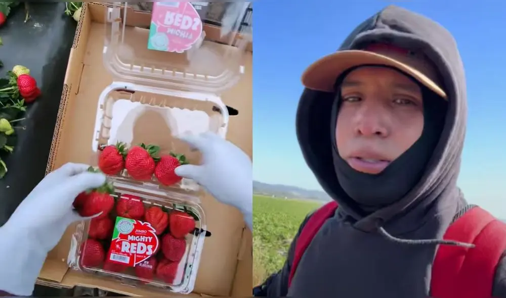 "Vale la pena, porque ganamos depende de lo que hacemos", dijo a través de Tiktok. Foto: composición LR. "Vale la pena, porque ganamos depende de lo que hacemos", dijo a través de Tiktok. Foto: composición LR.