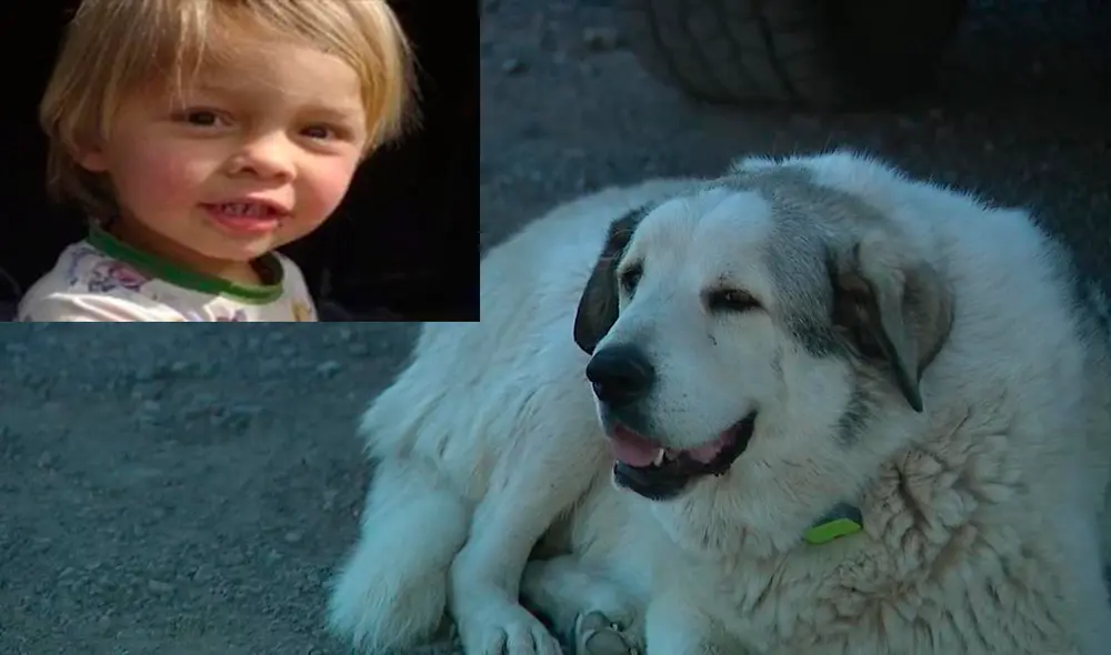 Buford encontró al niño en una zona remota y lo cuidó hasta que llegaron los adultos. Foto: Composición LR Buford encontró al niño en una zona remota y lo cuidó hasta que llegaron los adultos. Foto: Composición LR