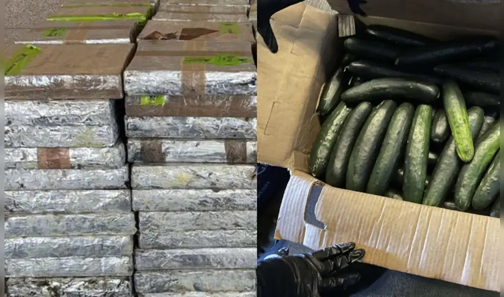 El Puente Internacional de Pharr ha sido un punto crítico en el contrabando de drogas. CBP intensifica inspecciones en cargamentos agrícolas. Foto referencial: CBP El Puente Internacional de Pharr ha sido un punto crítico en el contrabando de drogas. CBP intensifica inspecciones en cargamentos agrícolas. Foto referencial: CBP