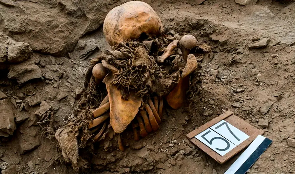 El equipo continúa con el análisis de ADN antiguo y la documentación 3D de los restos óseos para obtener más datos sobre las culturas del sur peruano. Foto: Jósef Szykulski/Universidad de Wrocław