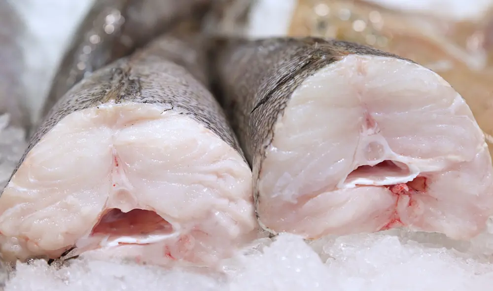 España es el principal destino de la merluza peruana. Foto: Adex España es el principal destino de la merluza peruana. Foto: Adex