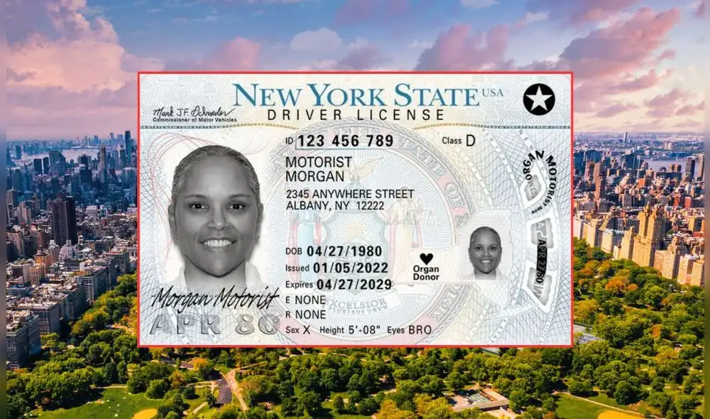 El DMV de Nueva York confirmó la extensión en los horarios para obtener la licencia de conducir. Foto: Composición LR/Freepik/DMV Nueva York