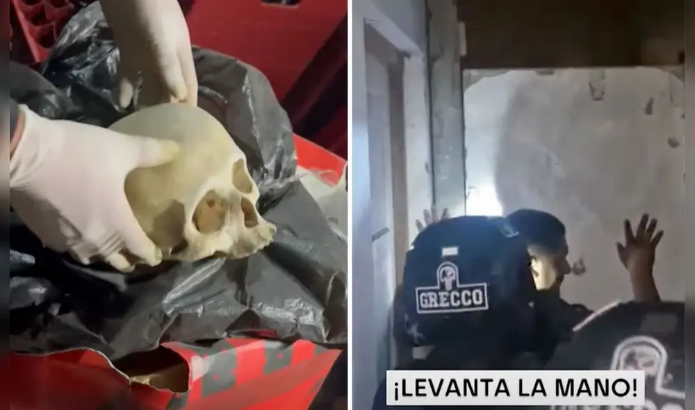 Detenidos serán llevados a la Dirincri PNP para las investigaciones del caso tras cometer múltiples delitos en Ancón y Santa Rosa. Foto: composición LR/Latina