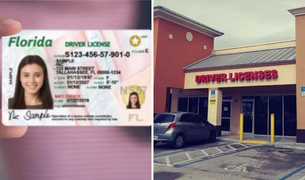 En Florida, el FLHSMV regula y suspende las licencias de conducir en caso de diversas infracciones de tráfico. Foto: composición LR/BusinessYab/FLHSMV En Florida, el FLHSMV regula y suspende las licencias de conducir en caso de diversas infracciones de tráfico. Foto: composición LR/BusinessYab/FLHSMV