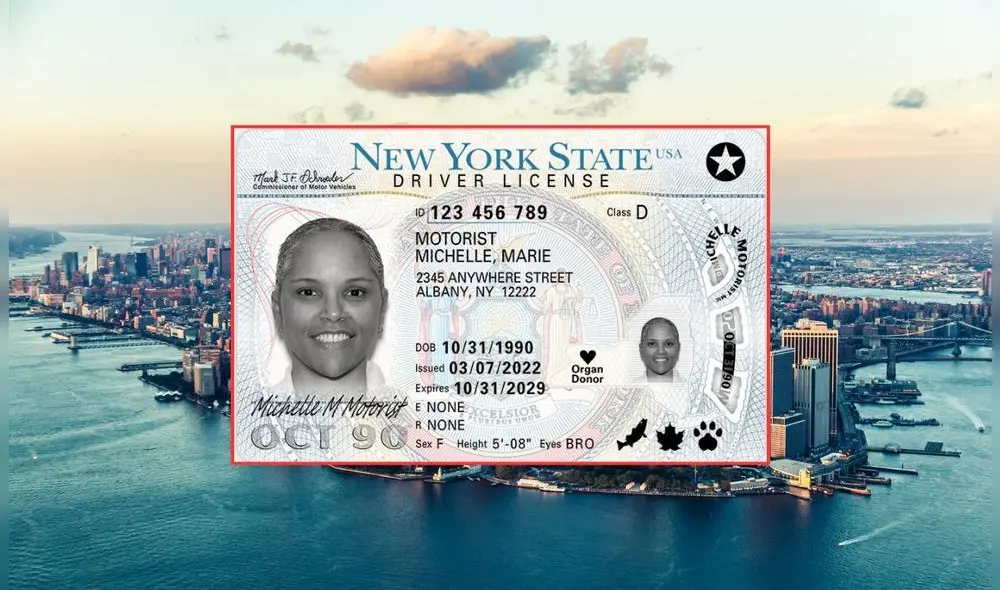 Los residentes en Nueva York tendrán facilidades para obtener la Real ID en otros puntos del estado. Foto: tsa.gov/ELLE