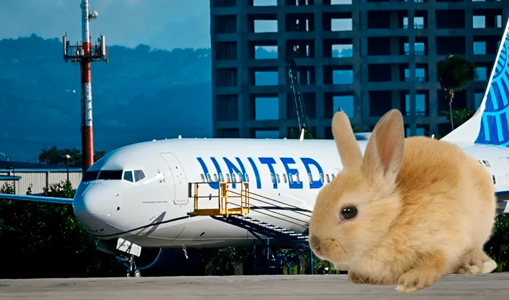 El vuelo 2325 de United Airlines regresó a Denver poco después del despegue. Foto: El Economista El vuelo 2325 de United Airlines regresó a Denver poco después del despegue. Foto: El Economista