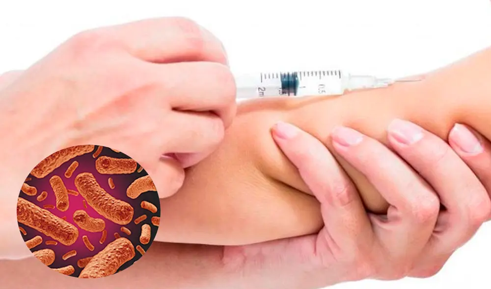 Durante el 2024 solo se registraron 463 casos en México, cifra inferior a lo que va del 2025. Foto: Freepik Durante el 2024 solo se registraron 463 casos en México, cifra inferior a lo que va del 2025. Foto: Freepik