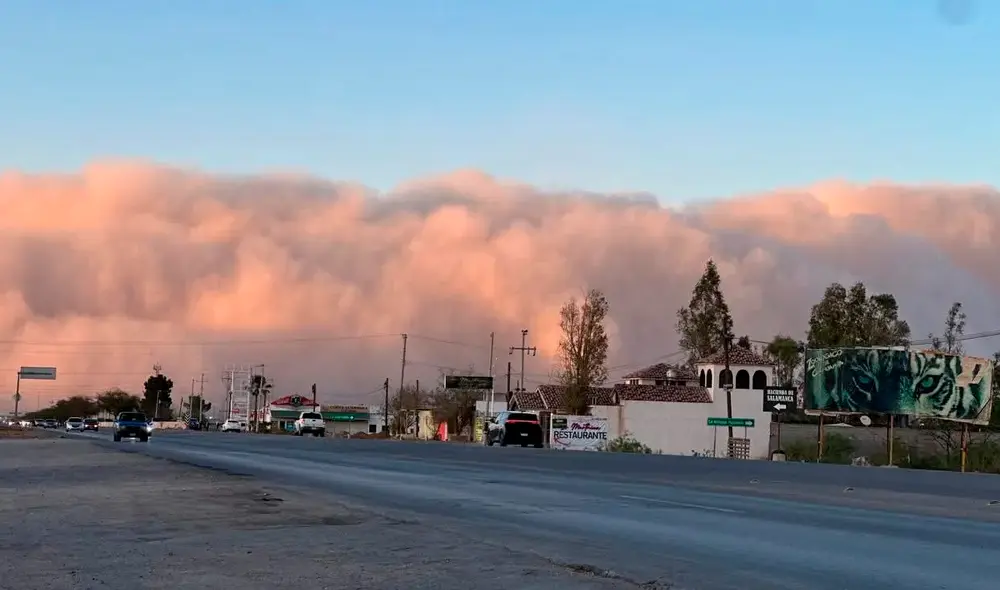 Las autoridades señalan que este fenómeno es común durante la temporada de calor en zonas desérticas. Foto: X | @@seheciebo