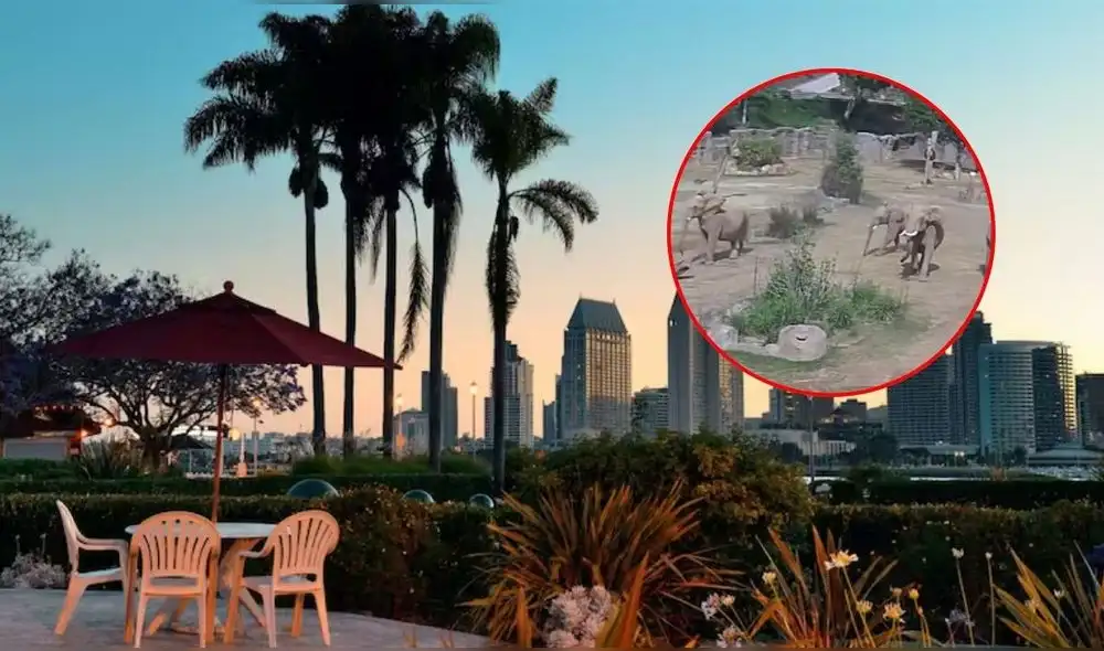 El terremoto alcanzó una magnitud de 5.2 grados en California. Foto: composición LR.