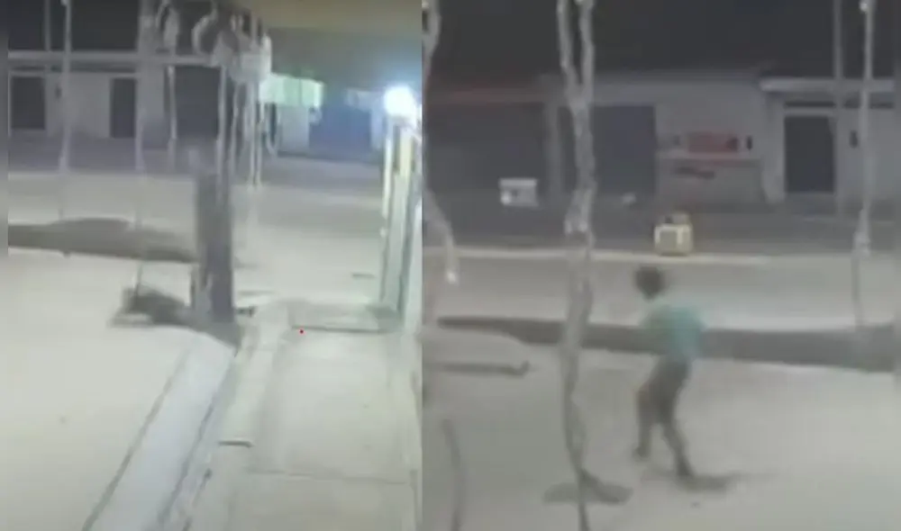 Ladrón se lanzó del segundo piso tras activar las alarmas de seguridad de una pollería Ladrón se lanzó del segundo piso tras activar las alarmas de seguridad de una pollería