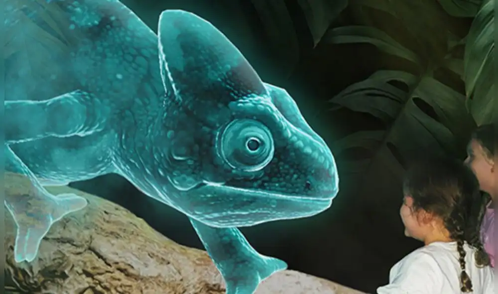 Con su llegada a Texas, Zoocade se consolida como una alternativa innovadora para disfrutar del mundo animal sin alterar su hábitat natural. Foto: Zoocade