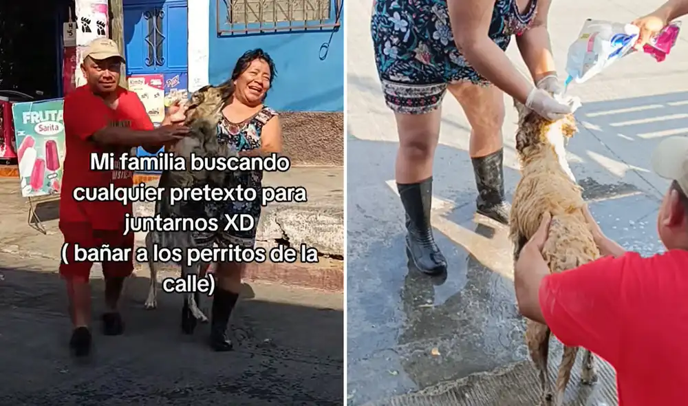 Usuarios celebran la acción como un ejemplo de amor y solidaridad. Foto: composición LR/ TikTok