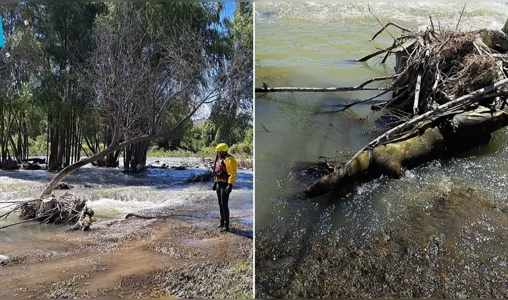 Foto: Composición LR/Leonela Aquino/URPI