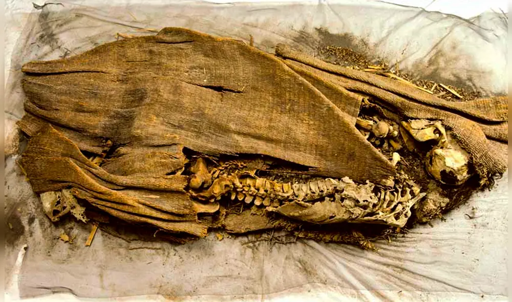 El hallazgo tuvo lugar en una cueva situada cerca de Fallon, en el estado de Nevada, conocida como la Spirit Cave. Foto: Wikimedia Commons.