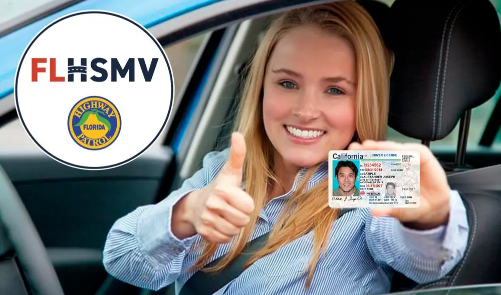 Miami-Dade inaugura la operación "Luz Verde", una iniciativa que permitirá a los residentes restaurar sus licencias de conducir suspendidas. Foto: composición LR/Freepik/FLHSMV